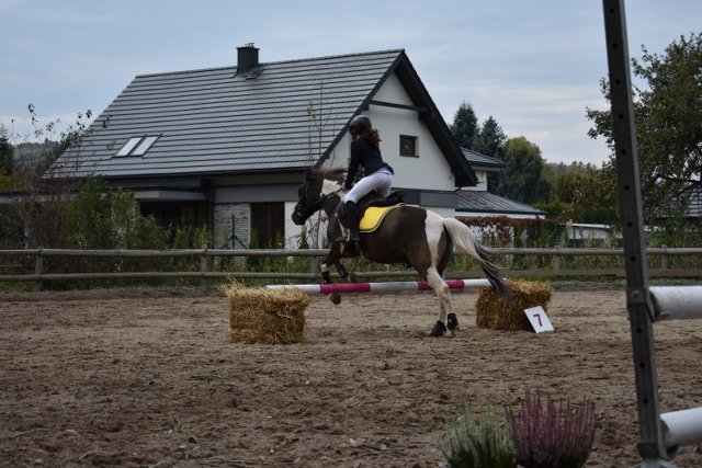 bABIE lATO 2018